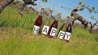Weinprobe und Führung im Domaine de la Coche