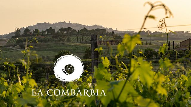 Emocionante visita privada à adega com o produtor e degustação de 4 vinhos, incluindo Vino Nobile DOCG