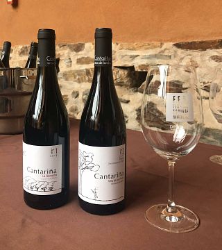 Cantariña Vinos de Familia