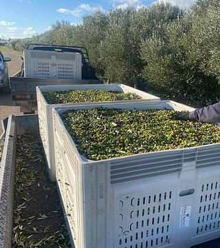 Weinprobe und Tour auf dem Weingut Zema