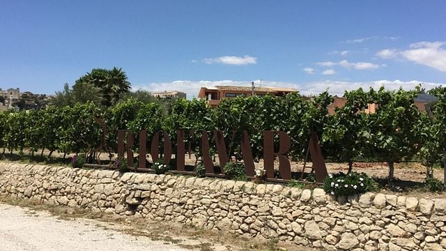 Weinprobe und Tour in Riofavara