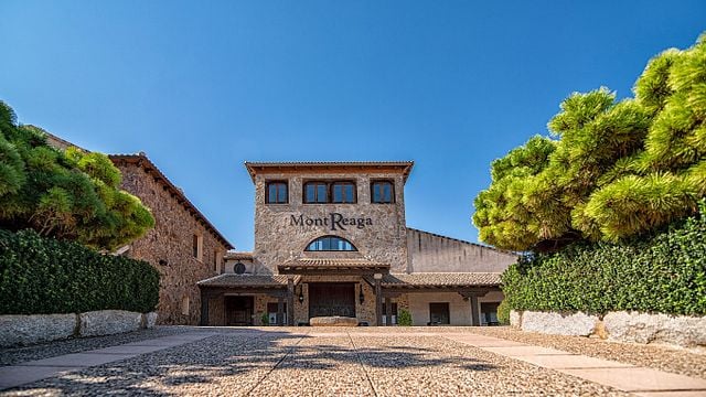 Cata de vinos y visita guiada en Mont Reaga