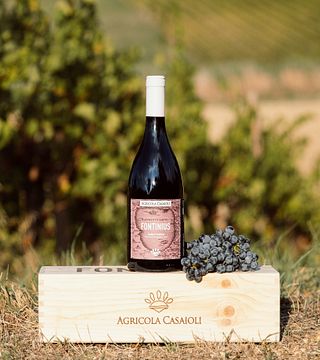 Agricola Casaioli