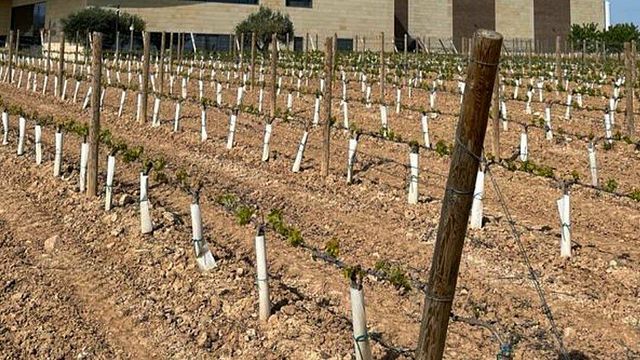 Fincas De Azabache