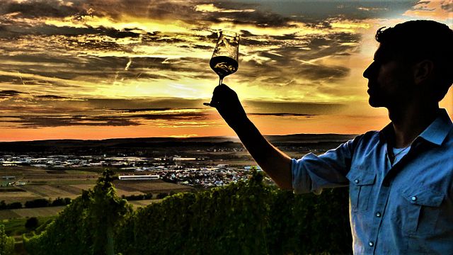Visite du vignoble et dégustation de vins au Weingut Steitz