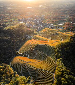 Oberkircher Winzer