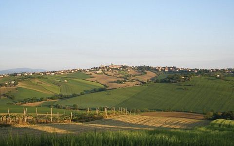 Una Giornata Rilassante Tra Colline, Vini e Sapori Locali Alla Tenuta San Marcello