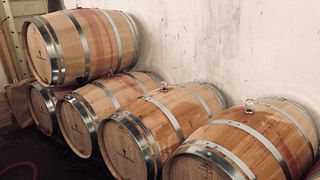 Degustação de vinhos e passeio no Clos La Petite Croix
