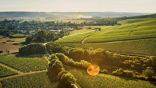 Visita à vinha e degustação de vinhos no Domaine Céline et Frédéric Gueguen