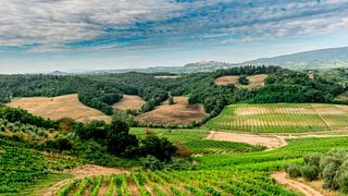 La Roccaia Winery
