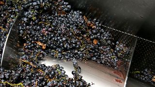 Degustazione di vini alle Bodegas Marqués de Reinosa
