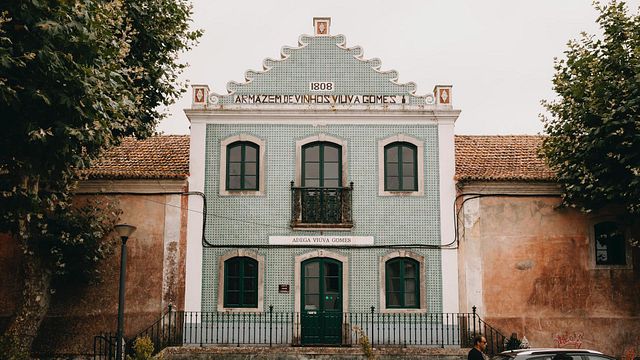 Vinprovning på Viúva Gomes - Colares