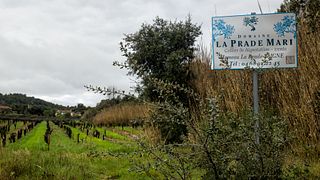 Vinprovning på Domaine La Prade Mari