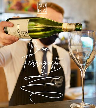 Dégustation des meilleurs vins de Piceno à la Cantina NUMA