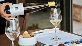 Tasting of 5 of the most prestigious wines from Diamantakis Winery
