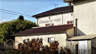 Degustazione di vini e tour al Domaine du Tane