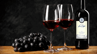 Exceptional Wine Tasting Experience at Château La Clyde
