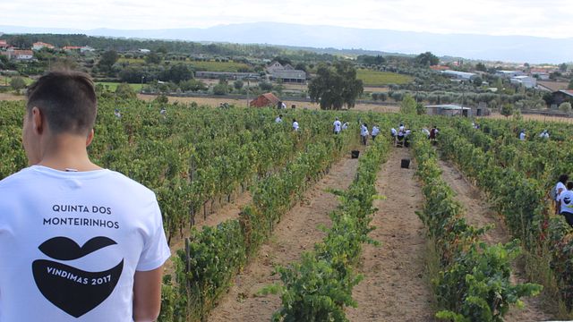 Prova de vinhos 1 Menino na Quinta dos Monteirinhos