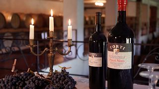 Cata de vinos y tour en Torti L'Eleganza Del Vino