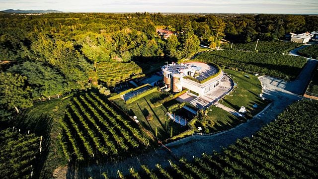 Piedmont’s Hidden Gems: Private Wine & Cellar Tour