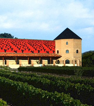 Degustazione di vini e visita alla Bodega La Soterrana