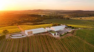 Dégustation avec le vigneron | Dégustation et visite de vins à Adega do Monte Branco