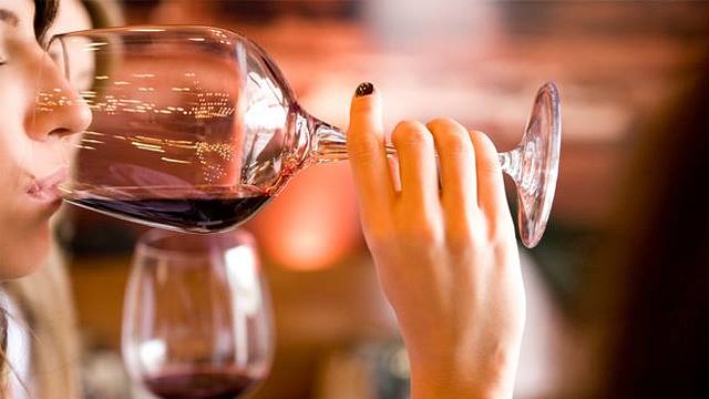 Degustazione di vini e tour a Viña Ruda