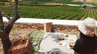 Picnic en los Viñedos | Sociedad Agrícola Baglio Bonsignore