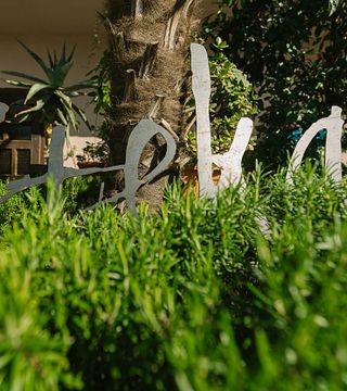 Degustazione di vini e visita ai vini Stekar