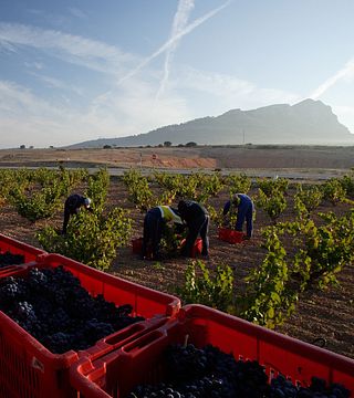 Bodegas Estefania