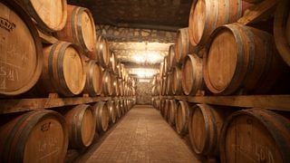 Cata de vinos y visita a la bodega en Domeniile Sahateni