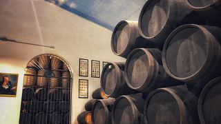 Young wines, Sherry Casks and Sherry Vinegars
