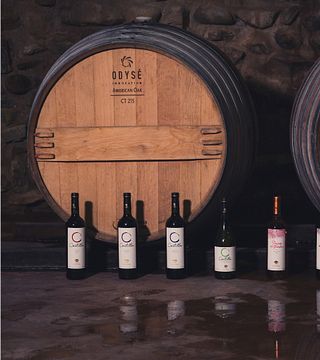 Bodegas Landsuá