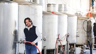 Degustazione di vini e visita al vigneto senza trattore