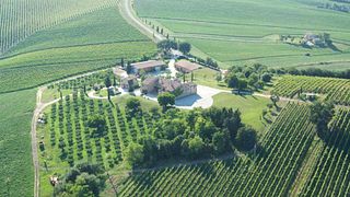 Dégustation et visite de vins à La Prova