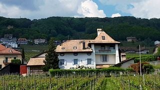 Domaine De Maison Blanche
