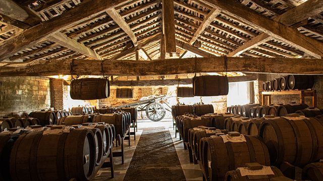Emilia-Romagna Sparkling & Balsamic Tasting Tour
