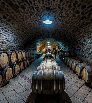 Degustação de vinhos e passeio no Chateau Bas