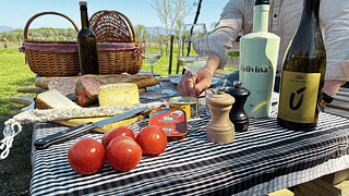 Picnic gourmet e degustazione di vini tra le vigne