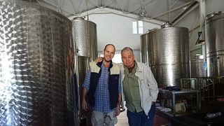 Petralona Winery