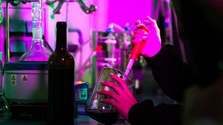 Cata de vinos y tour en Monte La Reina