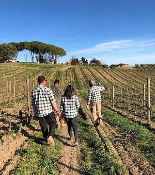 Tenuta il Quinto Winery