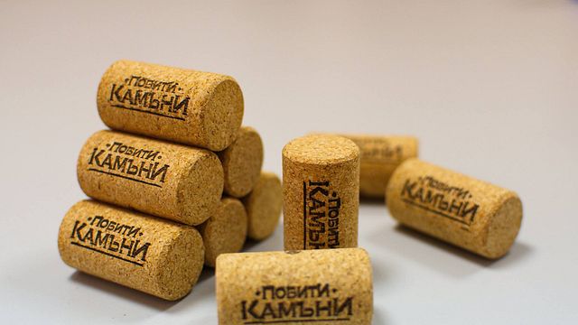 Cata de vinos y visita guiada en Pobiti Kamani (Bosque de Piedra)
