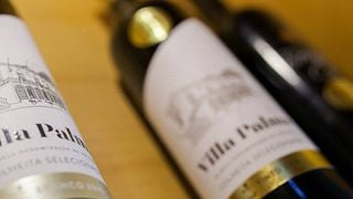Prova de Vinhos e Visita Guiada na Adega Cooperativa De Palmela