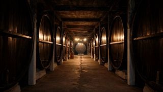 Bodega Santa Rosa