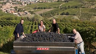 Entdecken Sie Oltrepò, von den Weinbergen bis zur Flasche