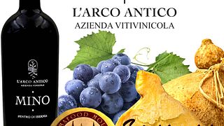 Degustação com visita à vinícola L'Arco Antico srl