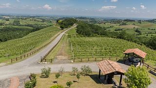 Degustação e Tour pela Cantina Il Poggio 