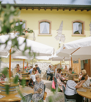 Degustazione Vini “Territorio Giovane” a Corte Fornello