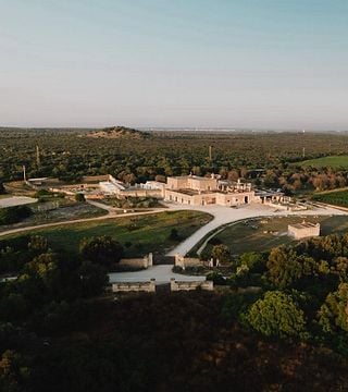 Amante de vinhos